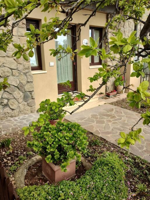 La Casina Di Nonna Giulia Apartment Castiglione d'Orcia Exterior photo